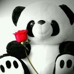 Profile Picture of Tang Huynh Duy (@tanghuynh) on Instagram