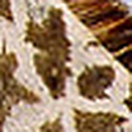 Profile Picture of Helene Et Guillaume (@helene et guillaume) on Flickr