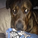 Profile Picture of Ben Burleigh (@ben.burleigh.79) on Facebook