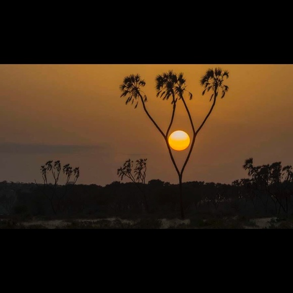 Profile Picture of Joyce Ball (@jb1002) on Poshmark