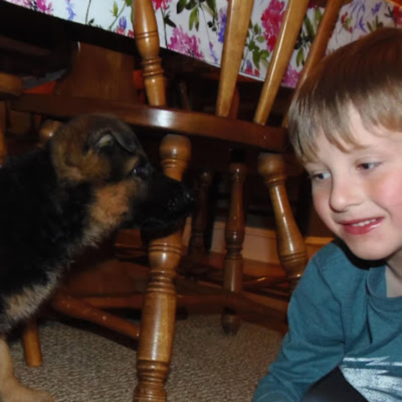 Profile Picture of Louis Bachetti (@louis_bachetti) on Poshmark