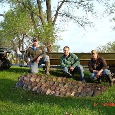 Profile Picture of Nick Hopp (@CampfireStories) on Twitter