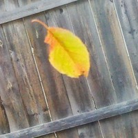 Nick Rivers - Quora Profile Picture of Nick Rivers (@nick-rivers-12) on Quora