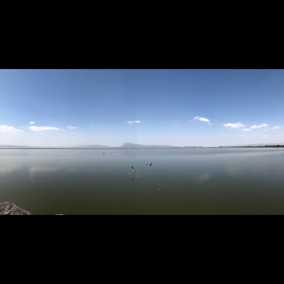 Profile Picture of Tee Negatu (@tnegat1) on Poshmark