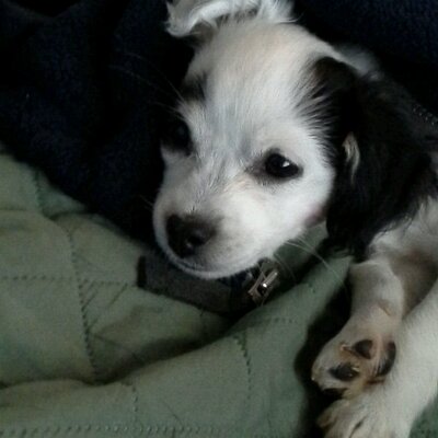 Profile Picture of Paula Bueno (@paulabueno902) on Twitter