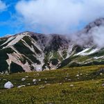 Profile Picture of sette (@yoshiro948) on Instagram