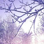 Profile Picture of leandro josé cristino ribeiro (@leandrojosecristino) on Instagram