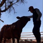 Profile Picture of Osiel Lopez (@lpz_osiel810) on Instagram