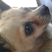 Profile Picture of Daniel Avellaneda (@danielavellaneda3364) on Youtube