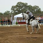 david - Instagram Profile Picture of david (@davidmosquera86) on Instagram