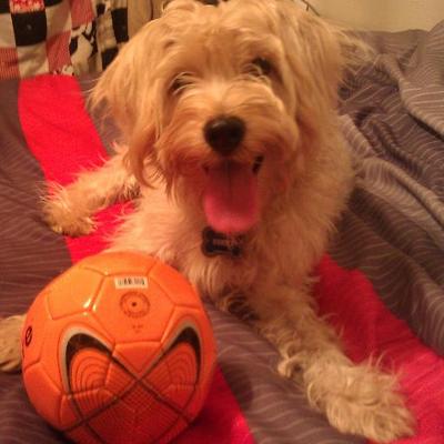 Profile Picture of Grisel Jimenez (@daffy1009) on Twitter