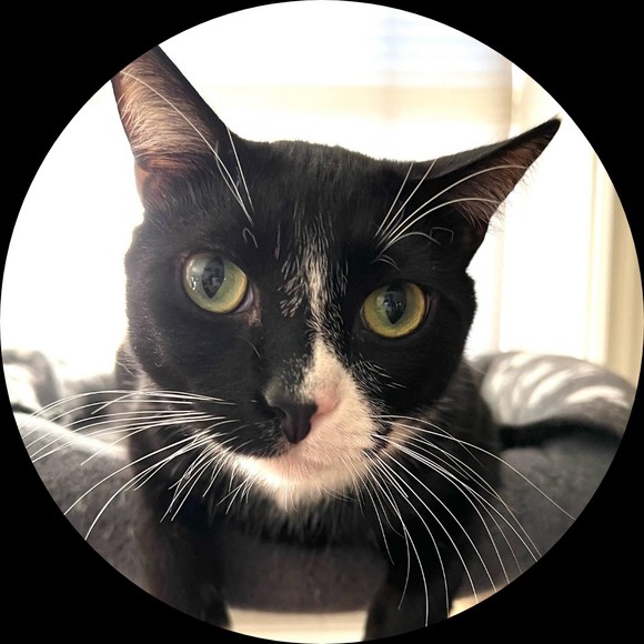 Profile Picture of Michael Colson (@nvr2gntlyused) on Poshmark