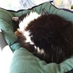 Profile Picture of Norma Morrison (@normamorrison5769) on Instagram