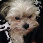 Profile Picture of Kim Robb-Medrano (@kim_medrano_) on Instagram