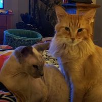 Profile Picture of Tamara Harms (@tamara-harms-2) on Quora