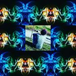 Profile Picture of Kevin Mucha (@itskevghg) on Instagram