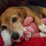 Profile Picture of Alec Arvanitis (@solvarious) on Instagram