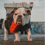 Profile Picture of Manish Puri puri (@manishpuri.puri) on Instagram