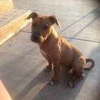 Profile Picture of   Baylee Michelle conners... (@bayleeconners) on Tiktok