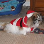 Profile Picture of christine and peter bosworth (@crispy_and_skins80) on Instagram