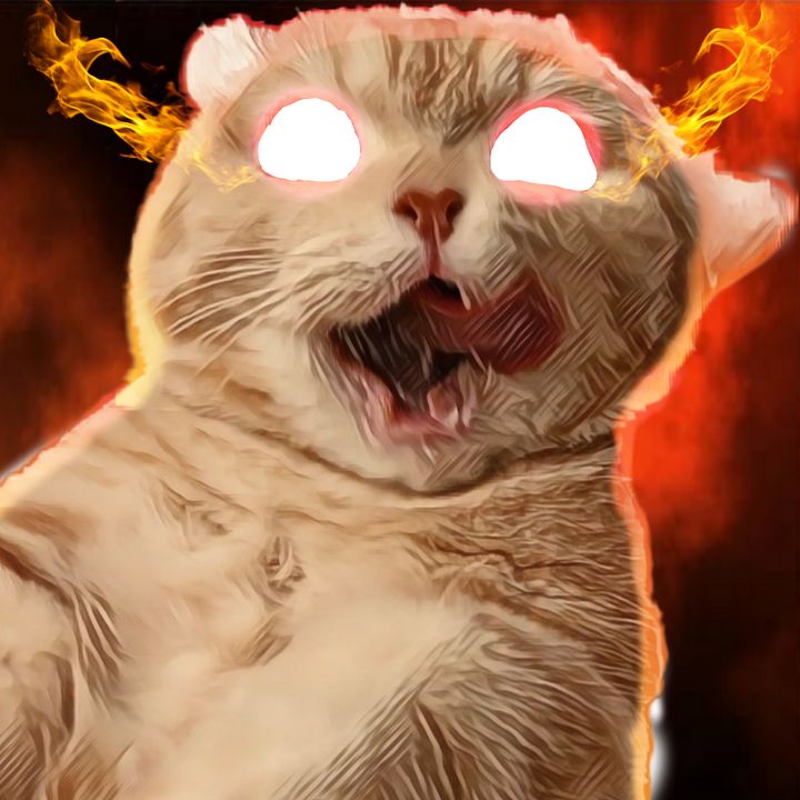 Profile Picture of Todd (@toddsection) on Tiktok