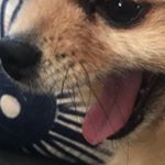 Profile Picture of Nicholas Uribe (@solar_flarecp) on Instagram