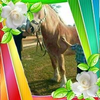 Profile Picture of Cheryl Ayers (@cheryl-ayers-5) on Quora