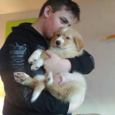 Profile Picture of Gabriel  Bonagofski (@bittererpoem69) on Twitter