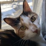 Profile Picture of Dominique Z Pearson (@crazze_iris20) on Instagram