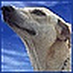 Profile Picture of Kirit (@kay.ess) on Flickr