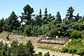 Profile Picture of Maywood Park, Oregonon Wikipedia