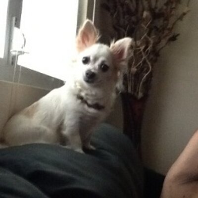 Profile Picture of Luz Otero (@h_luzotero2010) on Twitter