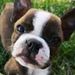 Profile Picture of Alayna Boychuck (@aboychuck25) on Pinterest