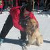 Profile Picture of Lisa Anderman Daskal (@lisa.daskal) on Facebook