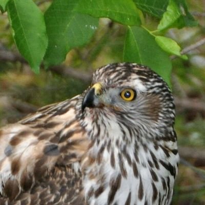 Profile Picture of Dave Hadden (@DaveHadden3) on Twitter