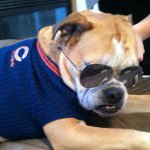 Nathan Fincham - Instagram Profile Picture of Nathan Fincham (@nfinch86) on Instagram