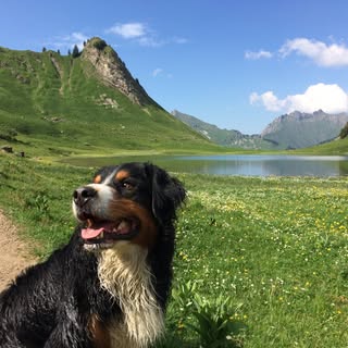 Profile Picture of David Prieur (@prieur.david) on Instagram