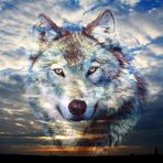 Profile Picture of Allen Hunsinger (@allen.hunsinger.12) on Facebook