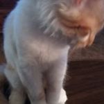 Profile Picture of Janet Inman (@janet.inman1954) on Instagram