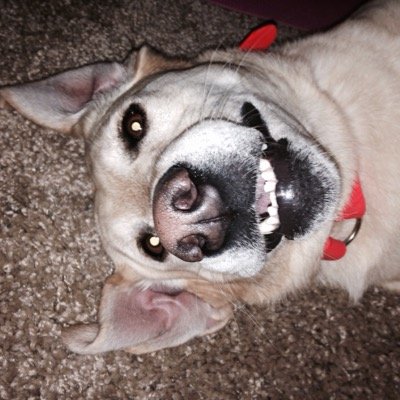 Drew Jarman - Twitter Profile Picture of Drew Jarman (@djarman07) on Twitter