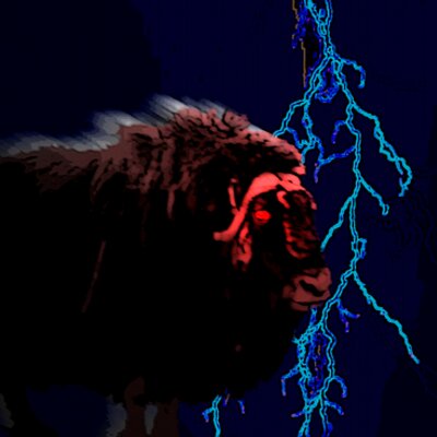 Profile Picture of Ben Stoller (@ThunderOx) on Twitter