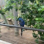 Profile Picture of Jose Luis Magaña Zepeda (@Jose-Luis-Magaña-Zepeda) on Facebook