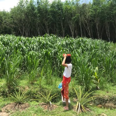 Profile Picture of Bussarakum Tubtim Chatchawal (@BussarakumTubt1) on Twitter