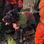 Thomas Gaubey - Facebook Profile Picture of Thomas Gaubey (@Thomas-Gaubey) on Facebook