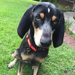 Profile Picture of Tristan (@tristan.gavin_) on Instagram