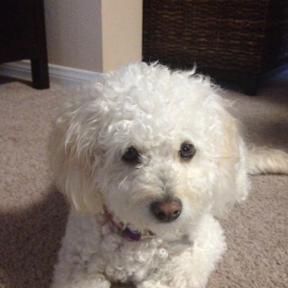 Profile Picture of Samin Beringer (@saminvali) on Poshmark