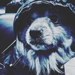 Profile Picture of Sathy Kim (@sathykim) on Instagram