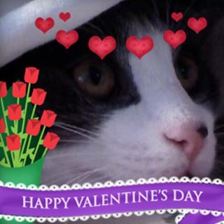 Profile Picture of Lori Metro (@lori.metro.9) on Facebook