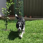 Profile Picture of Paul Daus (@pauldaus12) on Instagram