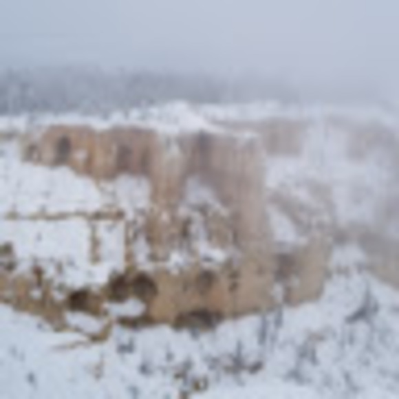 Profile Picture of Tara Schoffstall (@tlooby01) on Poshmark